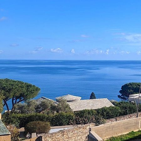 Superb Apartment With Sea View, 200M From Beach San-Martino-di-Lota Luaran gambar