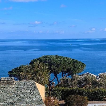 Superb Apartment With Sea View, 200M From Beach San-Martino-di-Lota Luaran gambar