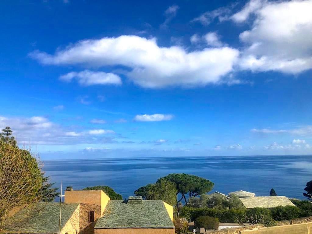 Superb Apartment With Sea View, 200M From Beach San-Martino-di-Lota Luaran gambar