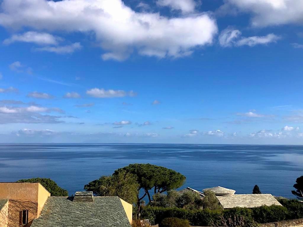 Superb Apartment With Sea View, 200M From Beach San-Martino-di-Lota Luaran gambar